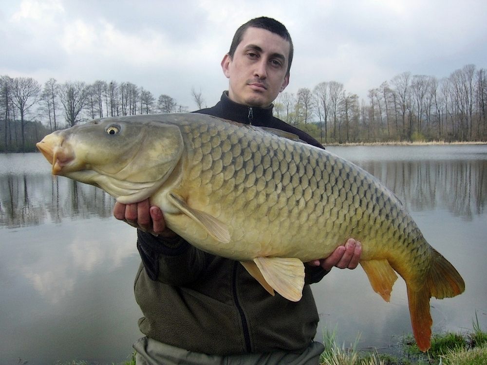 Kunčí - 88 cm / 12 kg